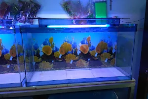 Nemo Fish Aquarium House image