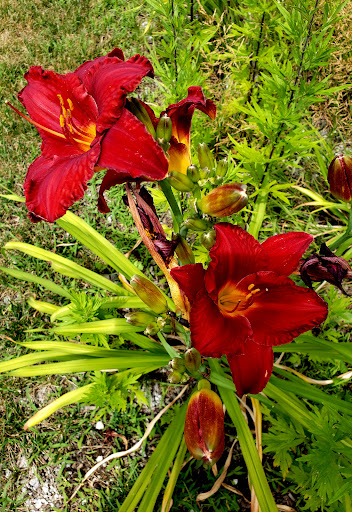 Shopping Mall «Wilton Mall», reviews and photos, 3065 NY-50, Saratoga Springs, NY 12866, USA