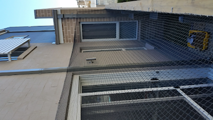 Cat Enclosures NSW