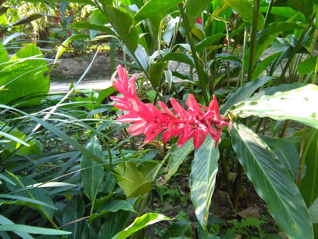 Hotel Restaurante Casa d'Antonio by null