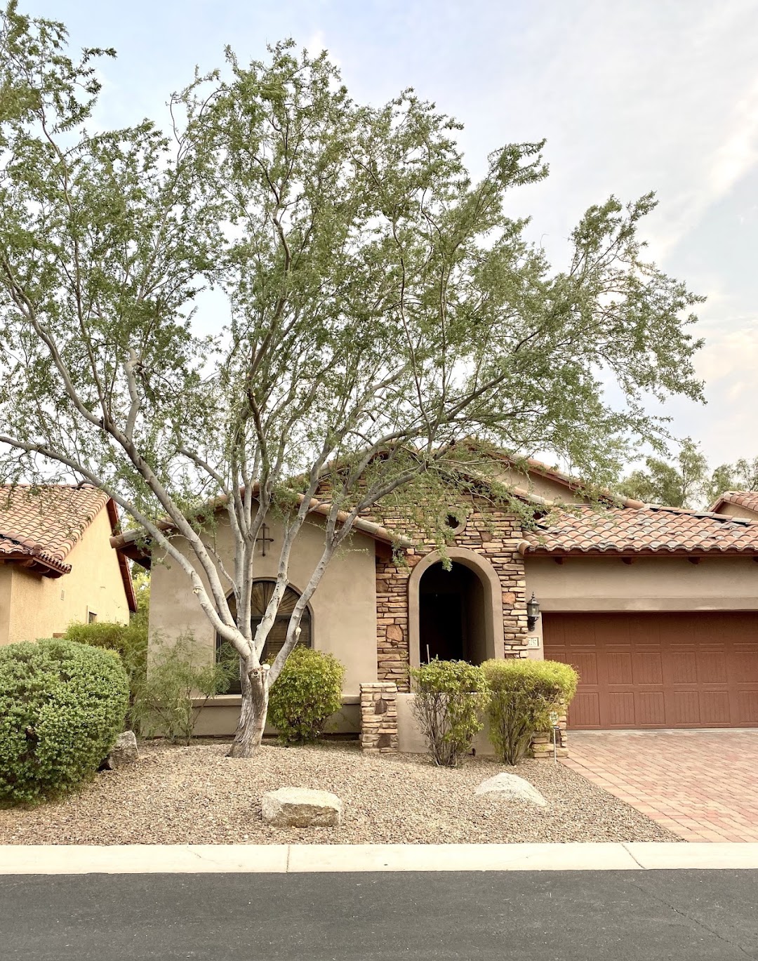 All Pro Tree Services LLC
