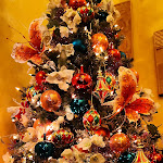 Photo n°5 de l'avis de dante.i fait le 08/01/2020 à 22:20 sur le  Le 4 Stagioni à Galeazza