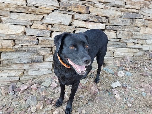 Tourist Attraction «Estrella Star Tower», reviews and photos, S Estrella Pkwy, Goodyear, AZ 85338, USA