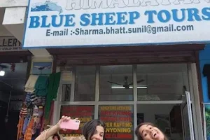 HIMALAYAN BLUE SHEEP TOURS image