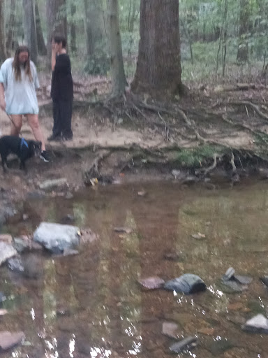 Park «Double Rock Park», reviews and photos, 8211 Glen Rd, Parkville, MD 21234, USA