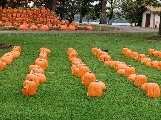 Park «Paulus Park», reviews and photos, 200 S Rand Rd, Lake Zurich, IL 60047, USA