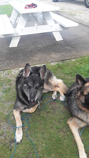 Golf Course «Lost Key Golf Club», reviews and photos, 625 Lost Key Dr, Pensacola, FL 32507, USA