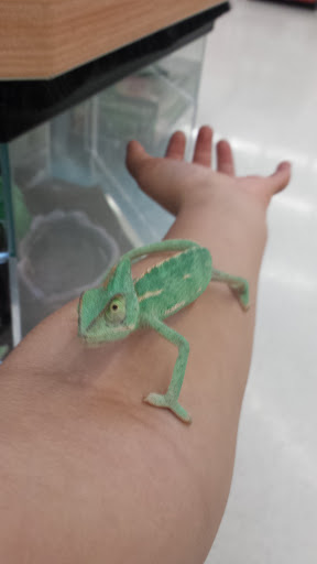 Pet Supply Store «Petco Animal Supplies», reviews and photos, 4751 W 29th St, Greeley, CO 80634, USA