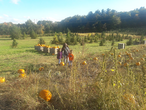 Dowse Orchards Pick-Your-Own Field