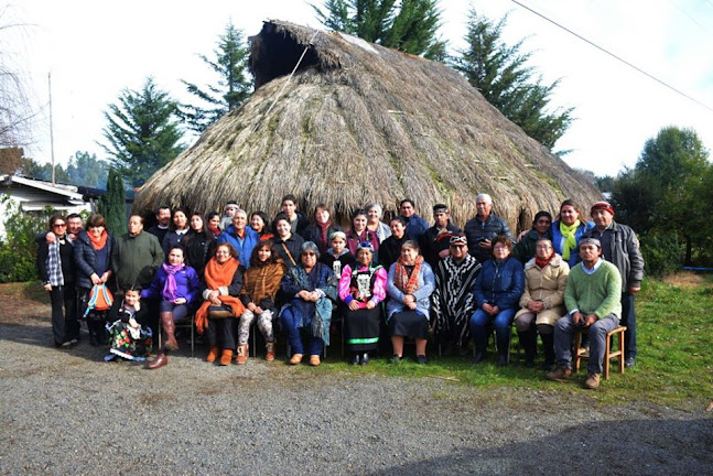 Newenche Asociacion Indigena Mapuche