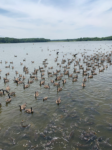 Explore ai generated tattoo ideas, creative tattoo ideas in Erie, available at Andromeda Studios