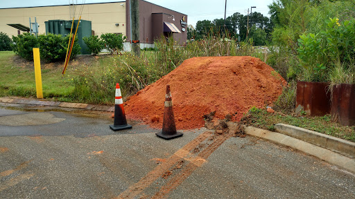 Supermarket «Publix Super Market at Park Place», reviews and photos, 847 Boll Weevil Cir #112, Enterprise, AL 36330, USA