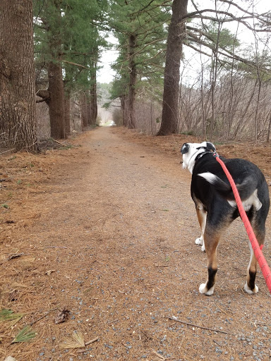 Farm «Pequitside Farm», reviews and photos, 79 Pleasant St, Canton, MA 02021, USA