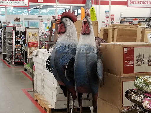 Home Improvement Store «Tractor Supply Co.», reviews and photos, 1253 NY-311, Patterson, NY 12563, USA