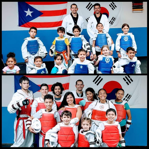 Puerto Rico Taekwondo College