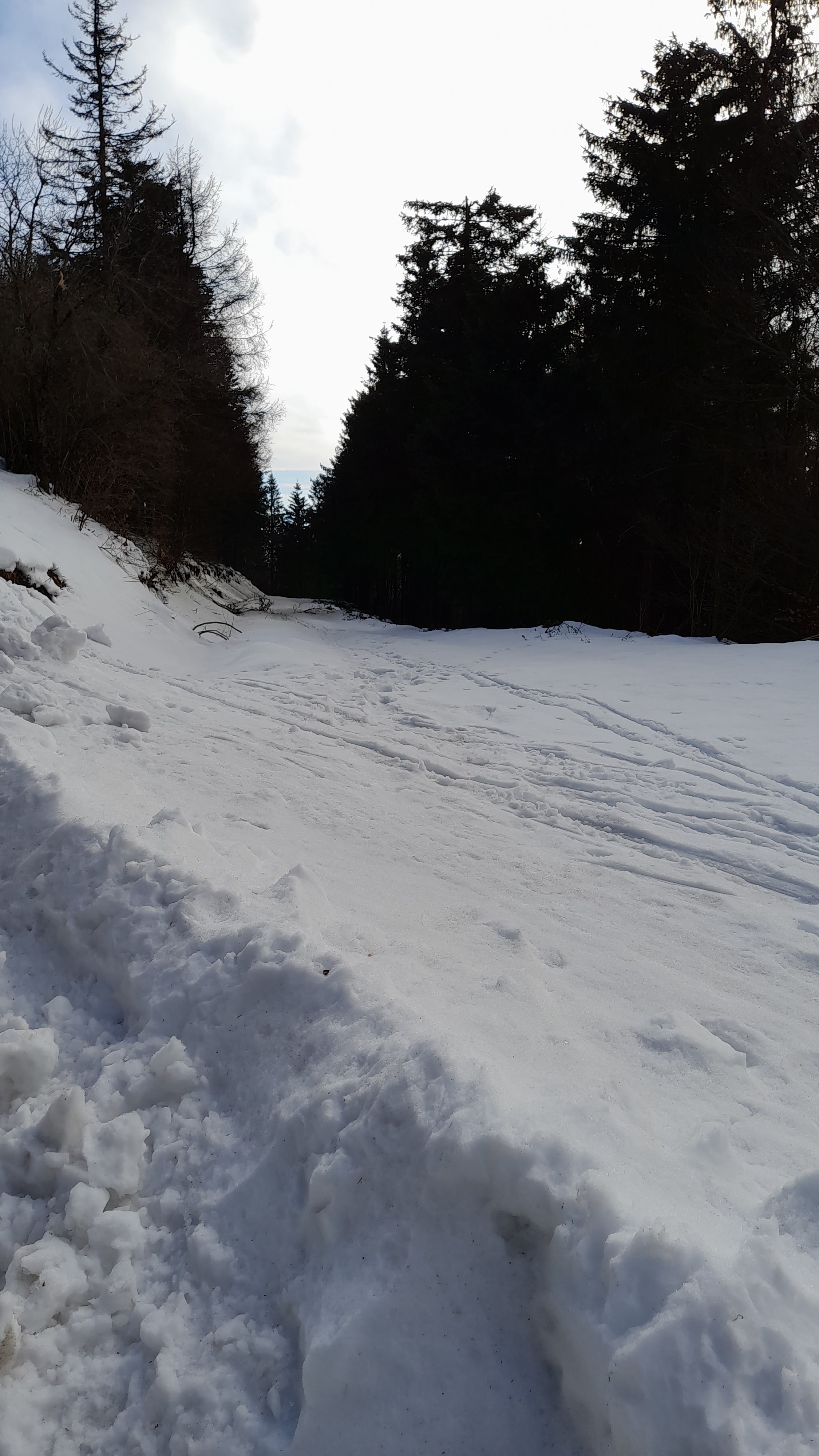 Photo n° 13 de l'avis de Cédric.o fait le 19/02/2023 à 08:07