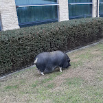 Photo n°3 de l'avis de Ingrid.a fait le 11/12/2023 à 10:46 sur le  Hotel City Parma à Parma