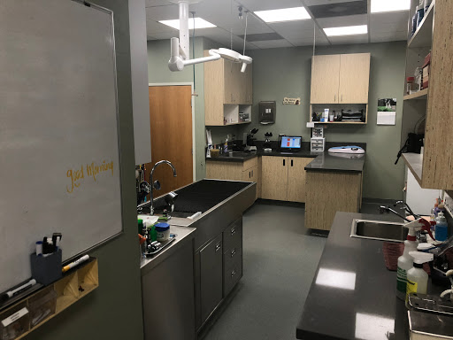 Calabasas Animal Clinic image