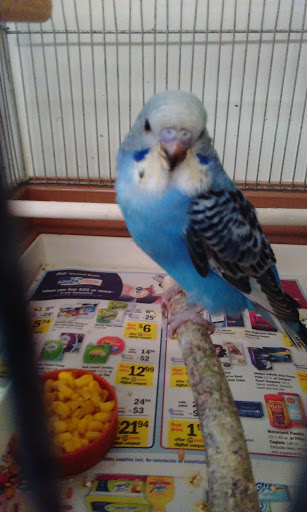 Pet Store «Pet Haven Pet Shop», reviews and photos, 19 US-6, Valparaiso, IN 46385, USA