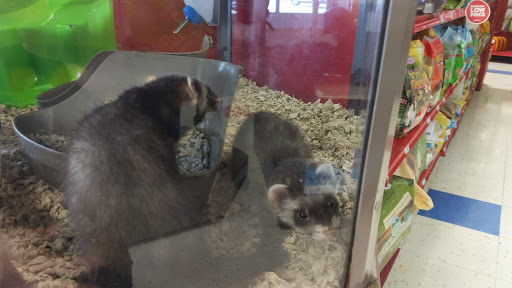 Pet Supply Store «Petco», reviews and photos, 149 Gravois Bluffs Plaza Dr, Fenton, MO 63026, USA