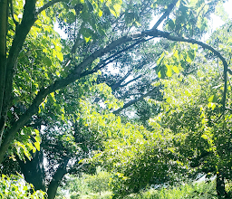 Parador turístico y mirador El Ceboruco photo