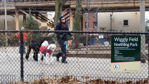 Dog Park «Wiggly Field Dog Friendly Area», reviews and photos, 2645 N Sheffield Ave, Chicago, IL 60614, USA
