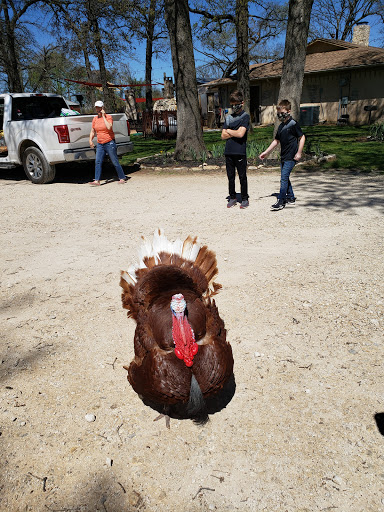 Bar «Fortunata Winery», reviews and photos, 2297 FM2931, Aubrey, TX 76227, USA