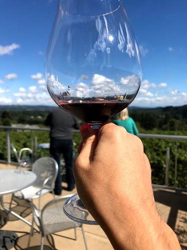 Winery «Raptor Ridge Winery», reviews and photos, 18700 SW Hillsboro Hwy, Newberg, OR 97132, USA