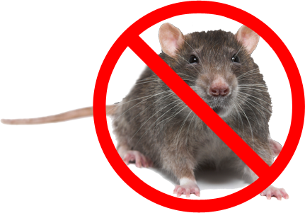 Rataway Fragrance image
