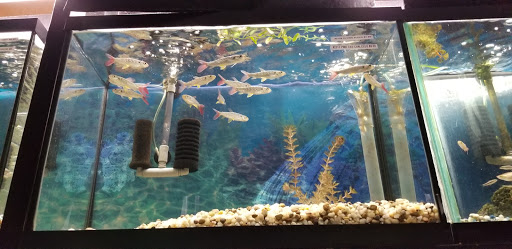 Tropical Fish Store «Two Turtles Pet Center», reviews and photos, 760 W Market St, Akron, OH 44303, USA