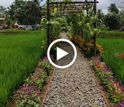 Taman Kreatif Banyucindih photo
