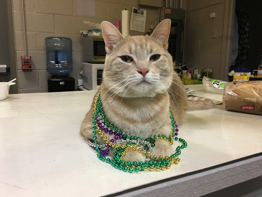 Sign Shop «Signs Now Downers Grove», reviews and photos, 1548 Ogden Ave, Downers Grove, IL 60515, USA