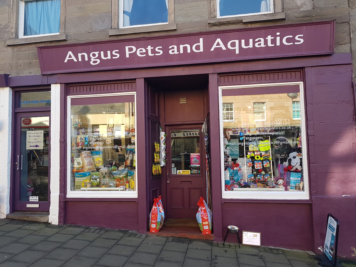 Angus Pets & Aquatics