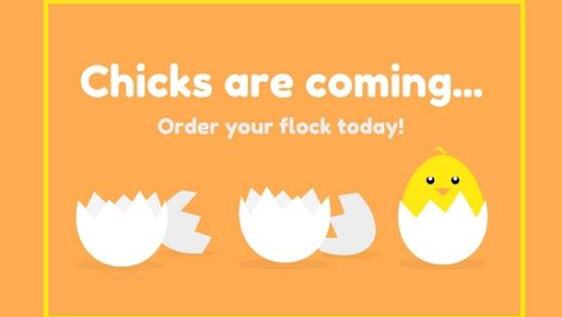 Home Improvement Store «Los Altos True Value Hardware», reviews and photos, 441 1st St, Los Altos, CA 94022, USA