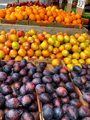 Grocery Store «North Shore Farms», reviews and photos, 770 Port Washington Blvd, Port Washington, NY 11050, USA