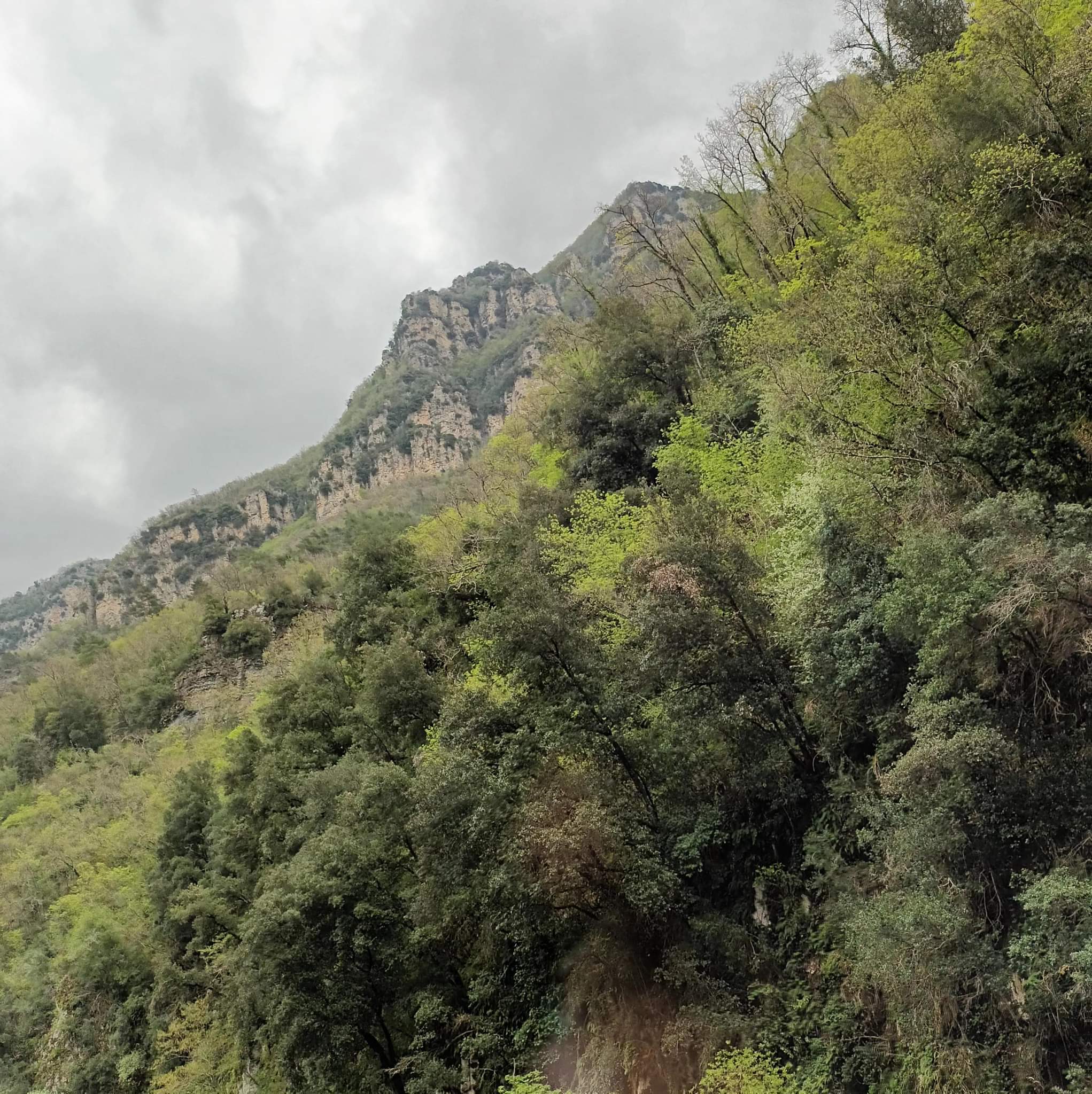 Photo n° 4 de l'avis de Eric.e fait le 21/04/2022 à 17:46