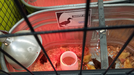 Home Improvement Store «Tractor Supply Co.», reviews and photos, 911 Griffin Ave, Enumclaw, WA 98022, USA