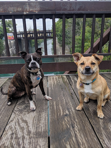 Golf Course «Canal Shores Golf Course», reviews and photos, 1030 Central St, Evanston, IL 60201, USA