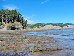 Foto di Ogella Hondartza area servizi