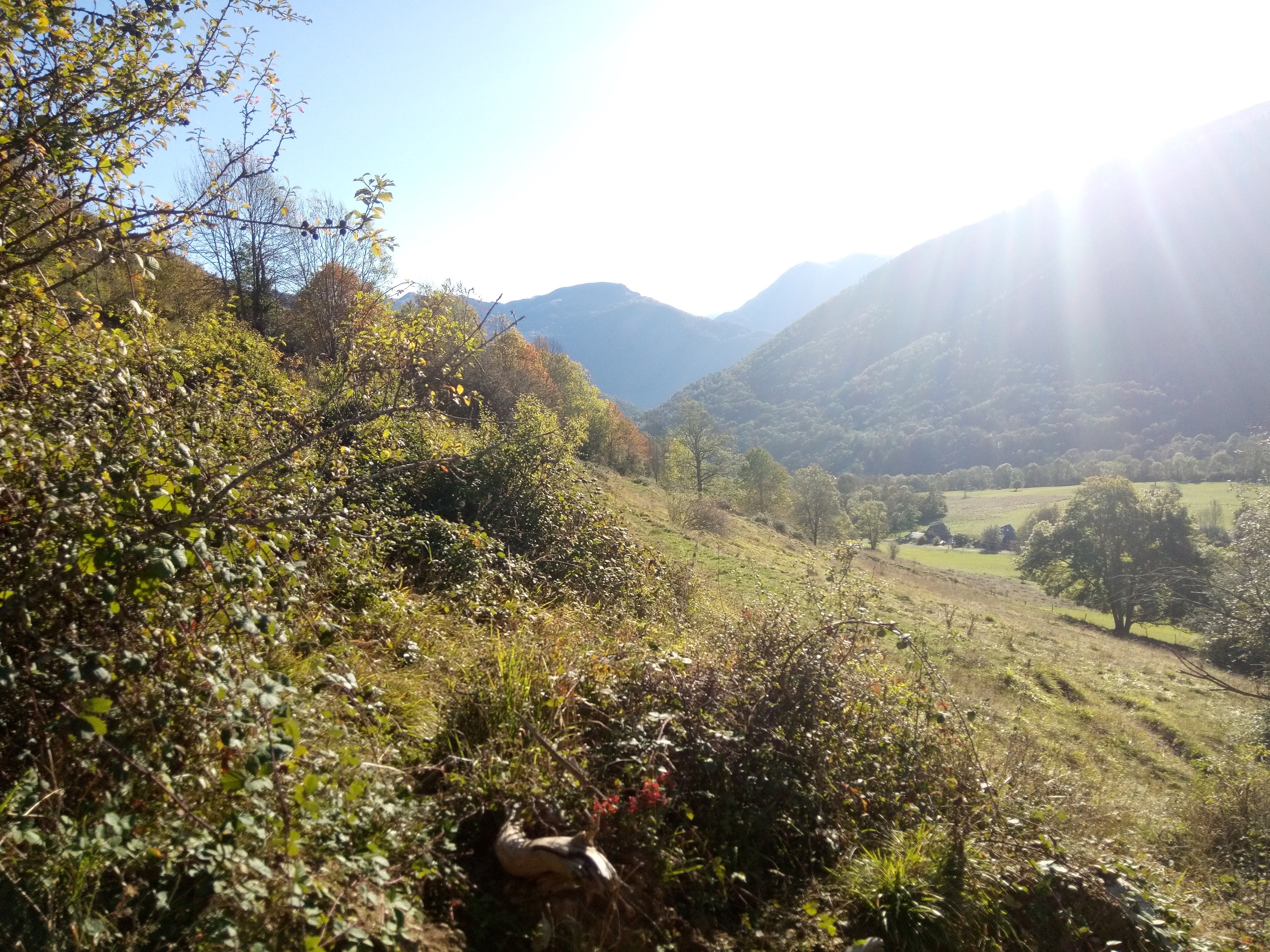 Photo n° 3 de l'avis de Vincent.O fait le 05/12/2023 à 13:49