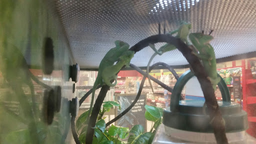 Pet Supply Store «Petco Animal Supplies», reviews and photos, 15790 South La Grange Road, Orland Park, IL 60462, USA