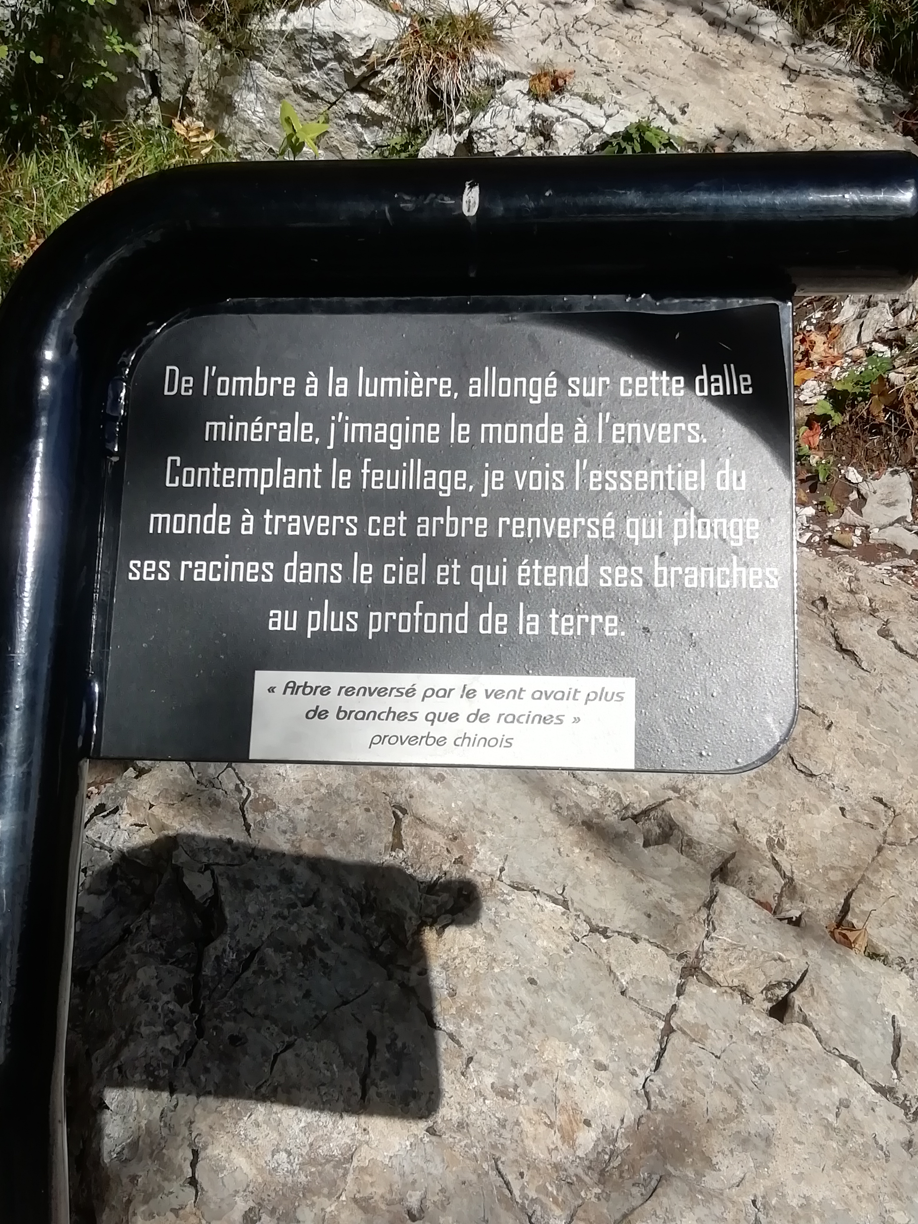 Photo n° 5 de l'avis de Dominique.a fait le 21/10/2021 à 12:24