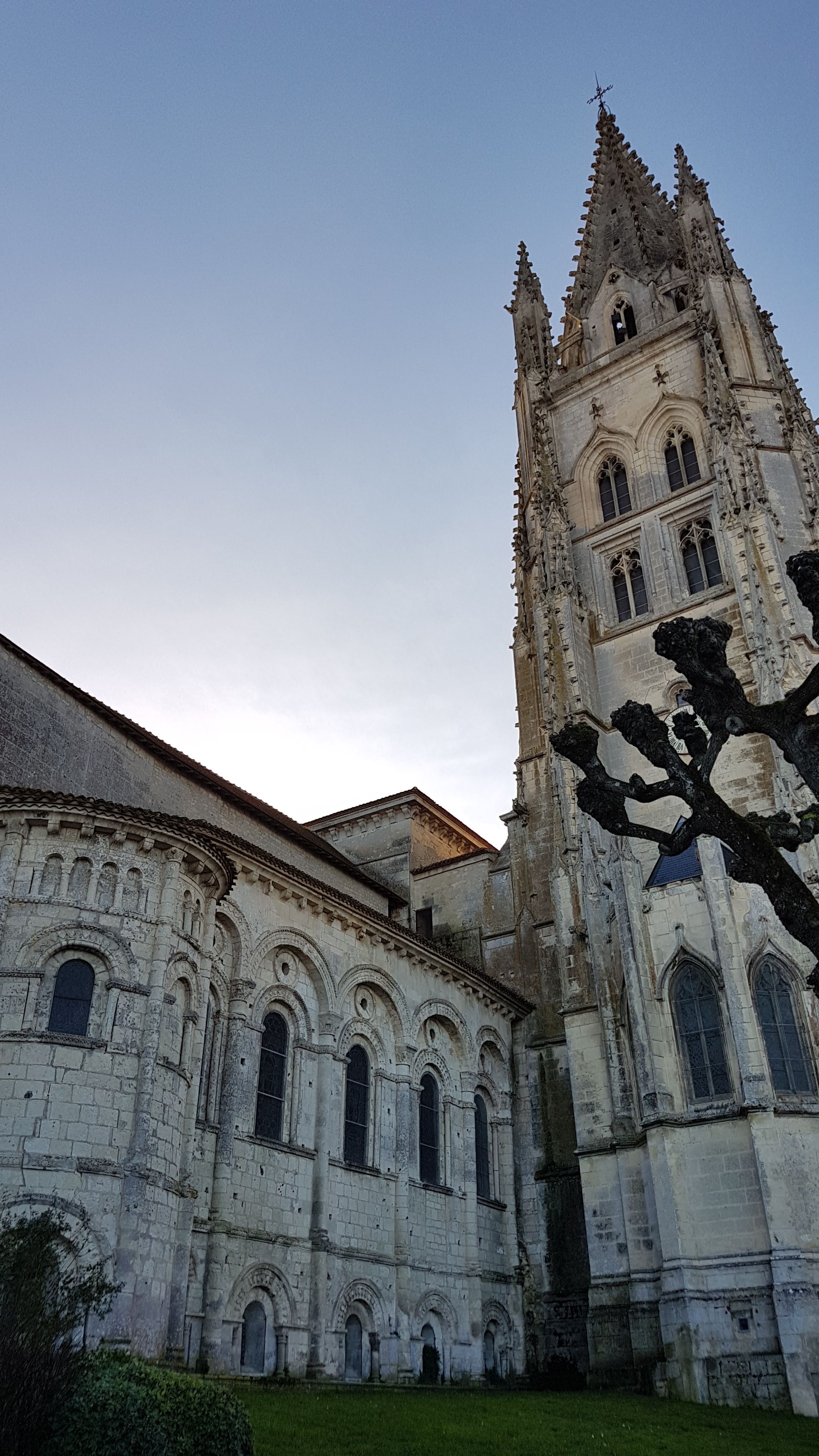 Photo n° 5 de l'avis de denny.a fait le 23/05/2019 à 12:45