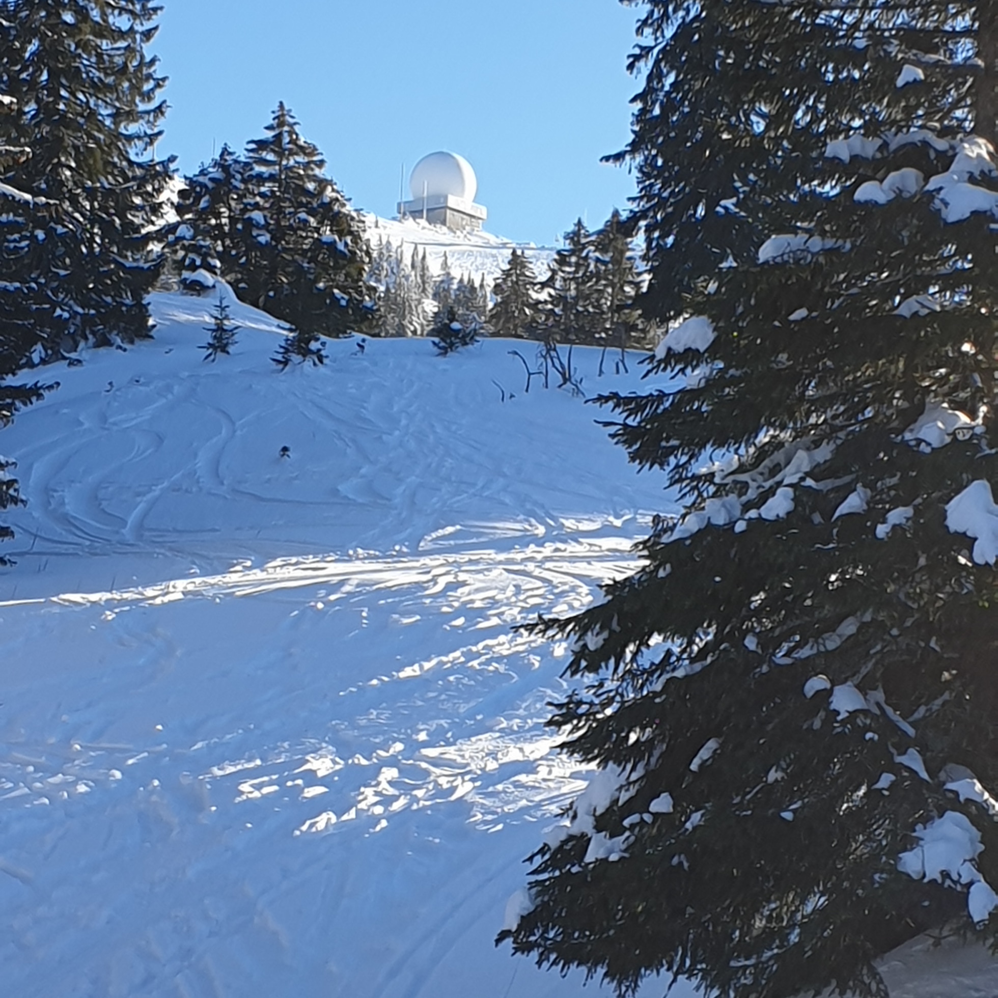 Photo n° 3 de l'avis de Pascaline.e fait le 10/01/2021 à 18:48