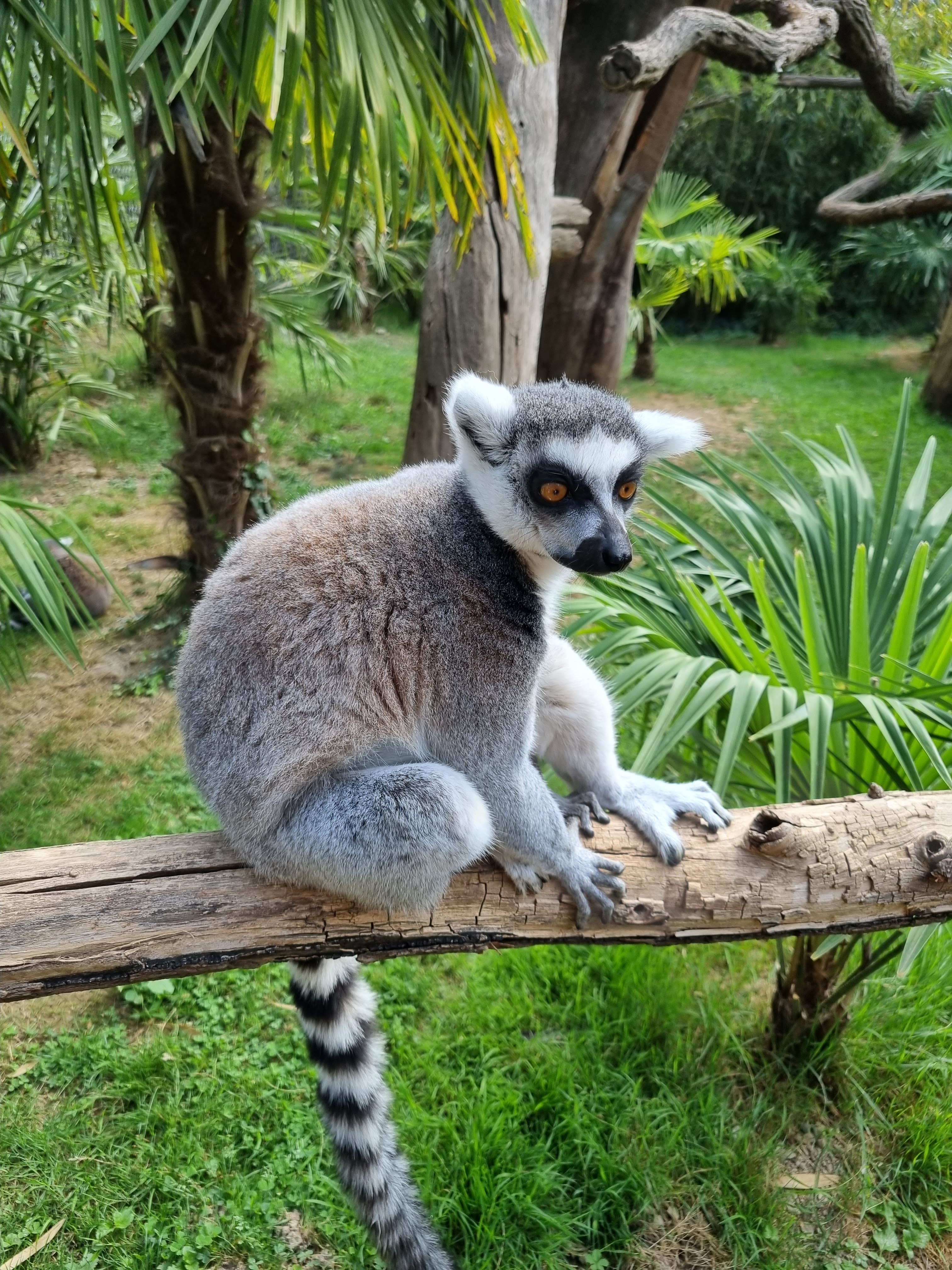 Photo n° 5 de l'avis de alexandre.o fait le 25/08/2022 à 15:51