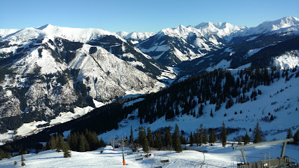 Ski Riesneralm
