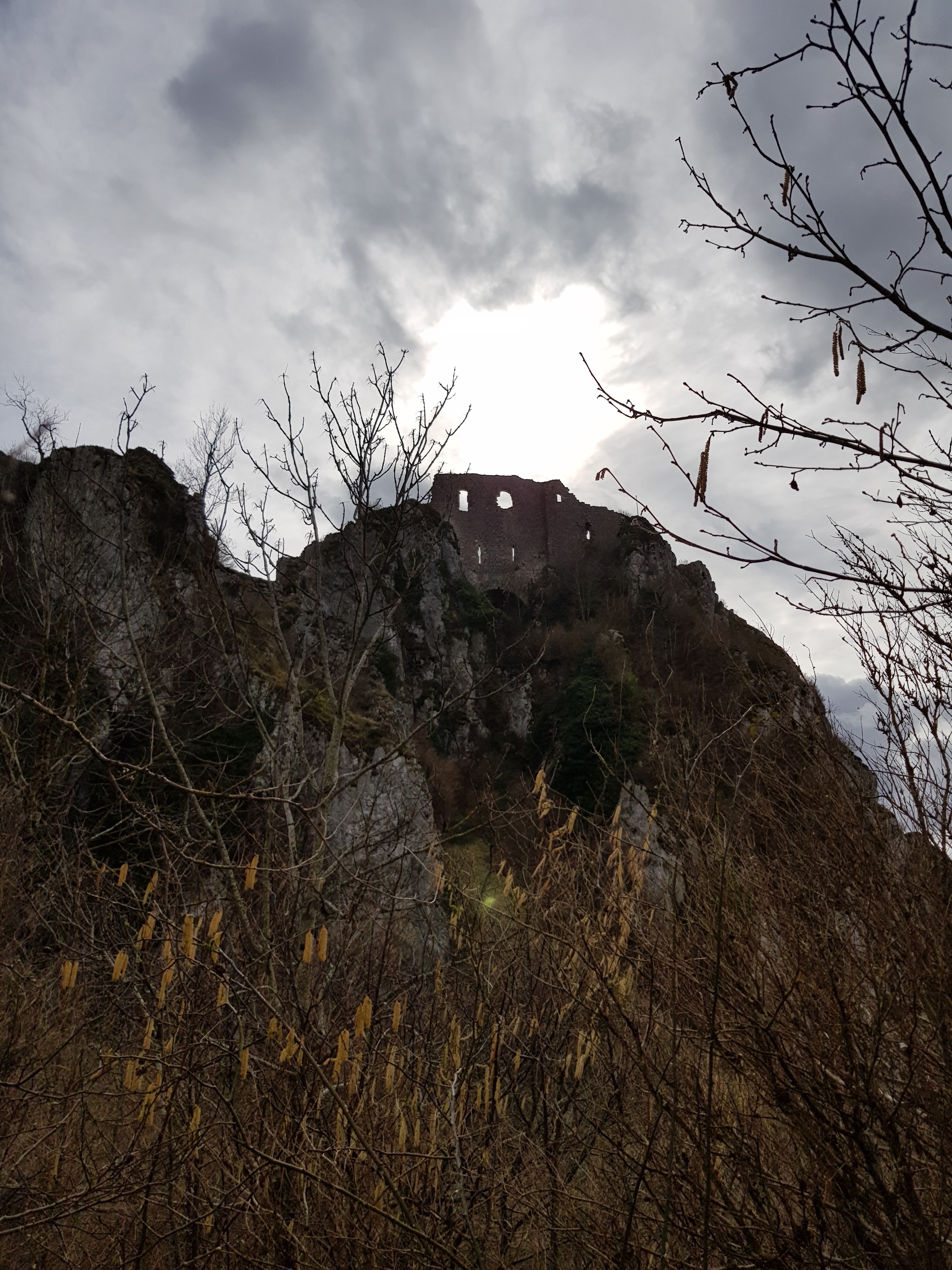 Photo n° 19 de l'avis de Jørn.. fait le 19/03/2019 à 07:50
