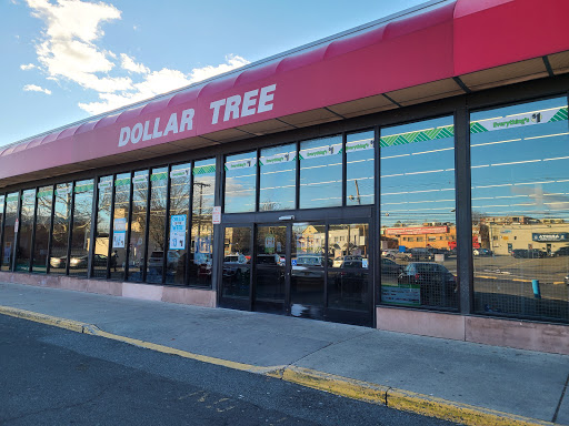 Dollar Store «Dollar Tree», reviews and photos, 24 Portland Ave, Bergenfield, NJ 07621, USA