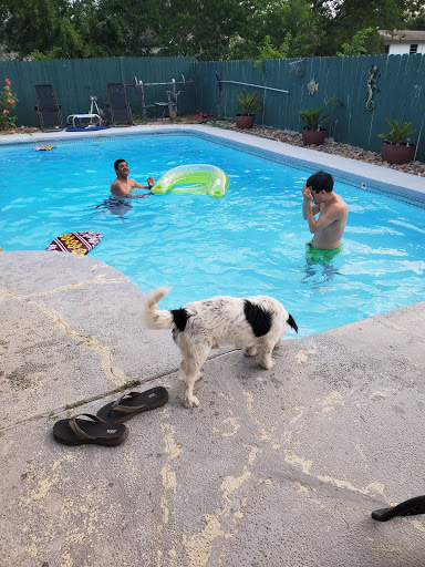 Park «Rainbow Hills Park», reviews and photos, 528 Rasa Dr, San Antonio, TX 78227, USA