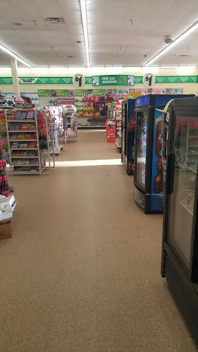 Dollar Store «Dollar Tree», reviews and photos, 230 W Virginia St #800, Crystal Lake, IL 60014, USA